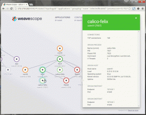 Application details for Calico felix