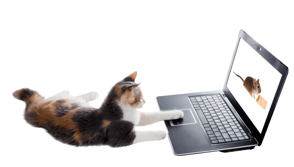 The Results are In… for the 2016 Calico User Survey