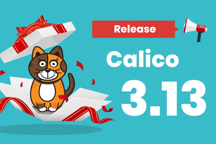 What’s new in Calico v3.13