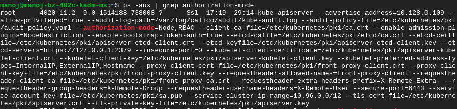 Use of --authorization-mode and --client-ca-file flags