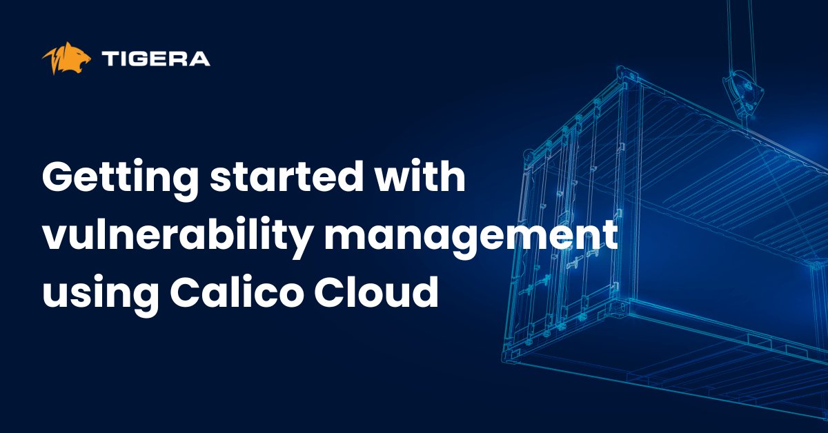 Getting started with vulnerability management using Calico Cloud