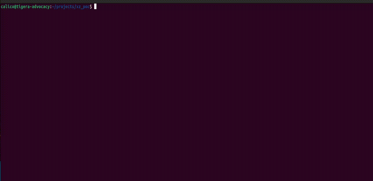 Screenshot of a Linux command line interface displaying commands related to Calico security and image scanning utilities.