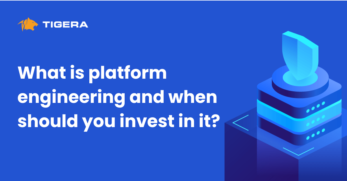 What is platform engineering and when should you invest in it?