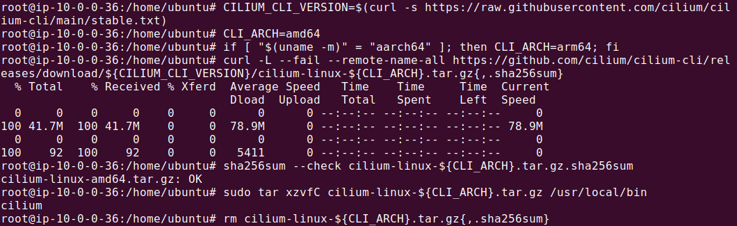 Terminal screenshot showing Cilium CLI installation via curl, including version detection, architecture check, download