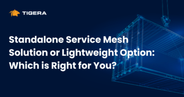 Standalone Service Mesh Solution or Lightweight Option: Which is Right for You?