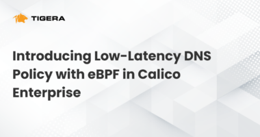 Introducing Low-Latency DNS Policy with eBPF in Calico Enterprise
