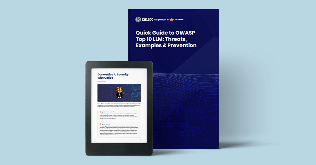 Quick Guide to OWASP Top 10 LLM