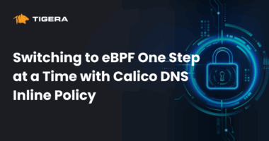 Switching to eBPF One Step at a Time with Calico DNS Inline Policy