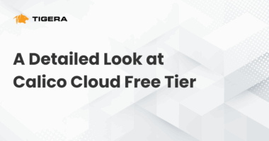 A Detailed Look at Calico Cloud Free Tier