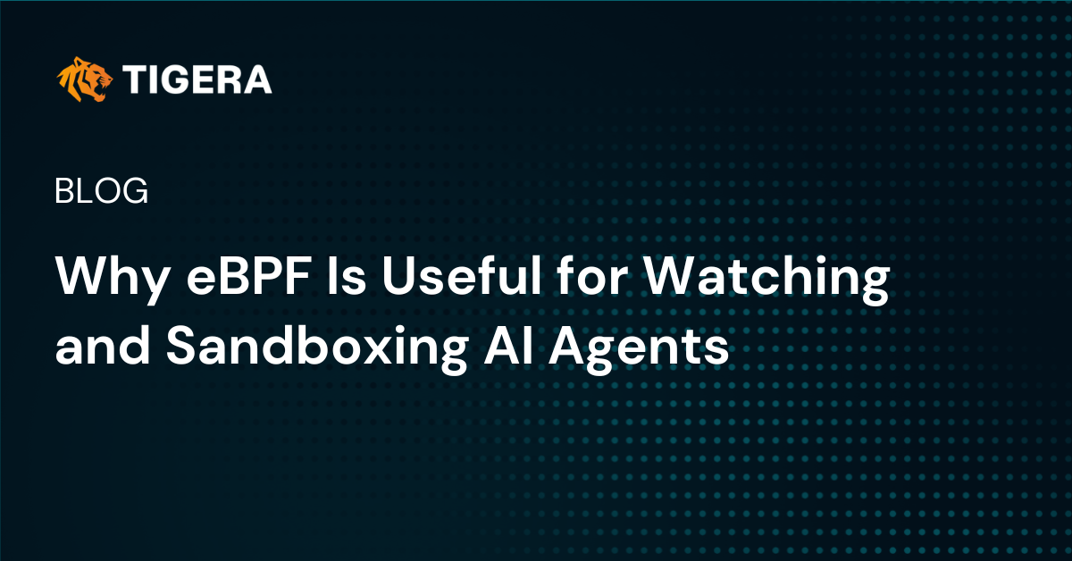 Why eBPF Is Useful for Watching and Sandboxing AI Agents