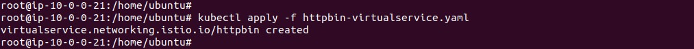 Output of applying the httpbin virtual service