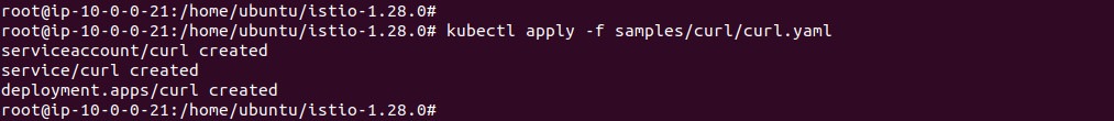 Output of deploying the curl client pod
