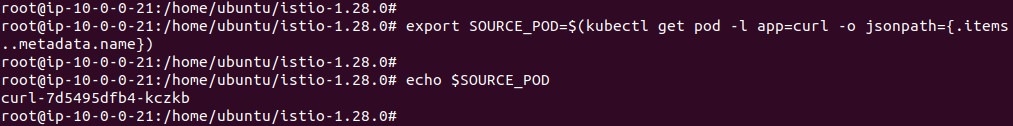 Output of setting and printing the SOURCE_POD variable