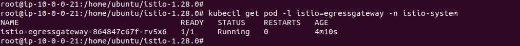 Output of checking the egress gateway pod