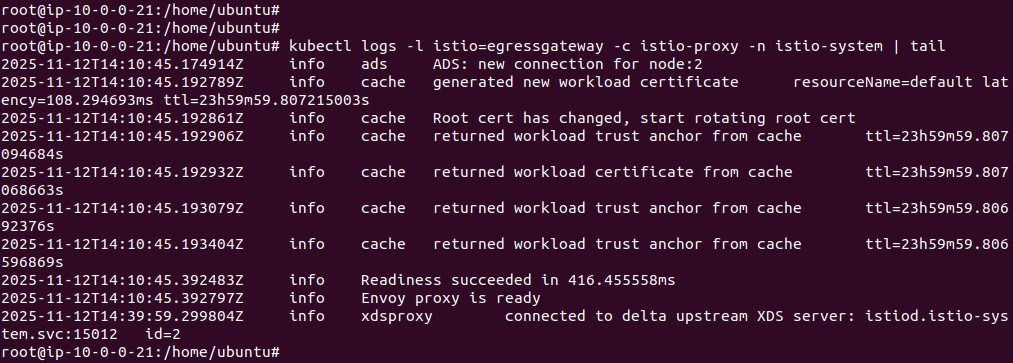 Output of the egress gateway logs