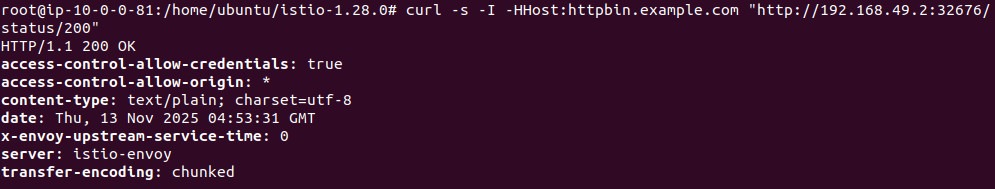 curl output showing HTTP 200 OK from httpbin