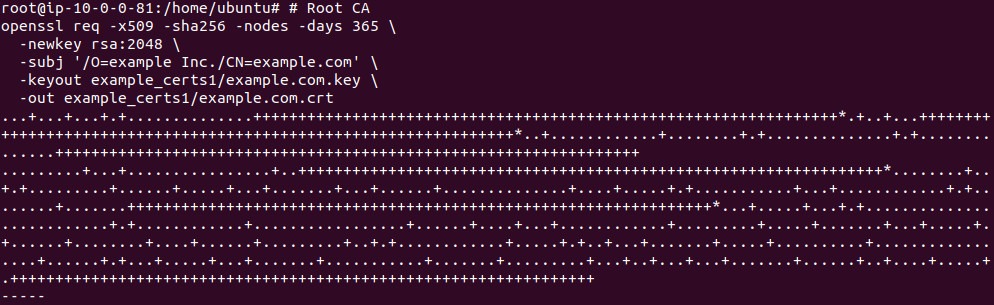 Output of generating the example.com root CA certificate with openssl