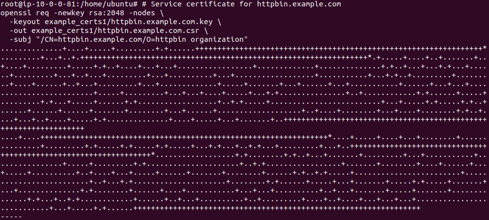 Output of creating the httpbin certificate signing request