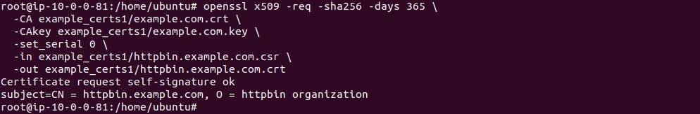 Output of signing the httpbin certificate with the root CA