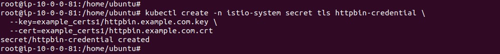 Output of creating the httpbin TLS secret in istio-system