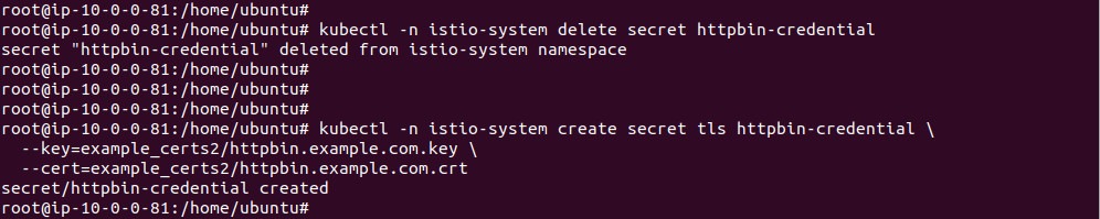 Output of replacing the httpbin TLS secret with new certificates