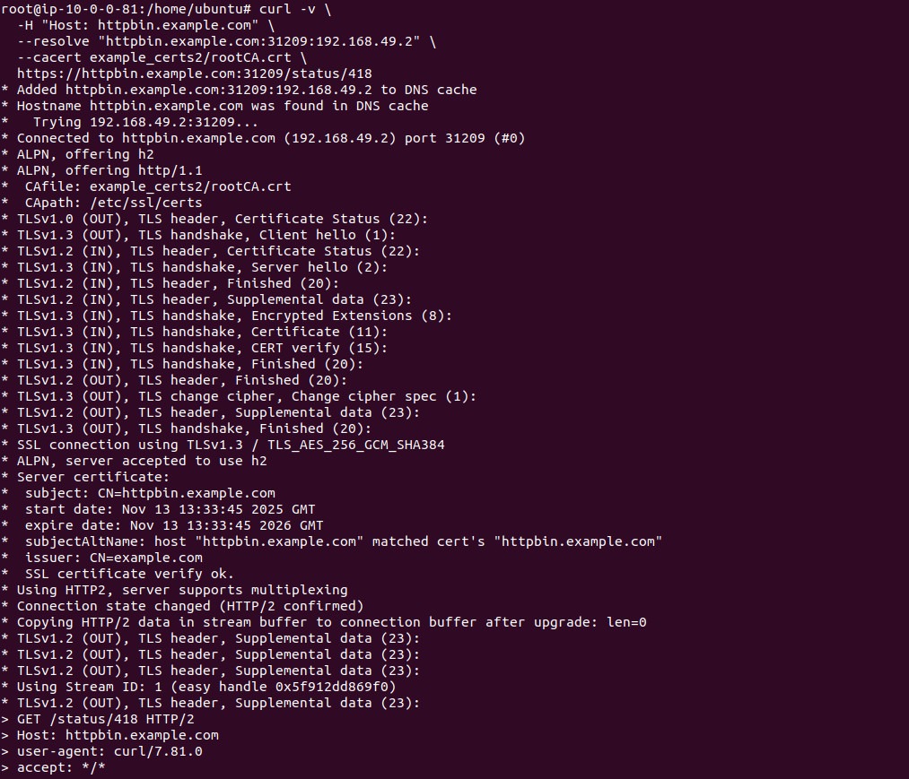 curl output verifying the httpbin certificate against the new CA