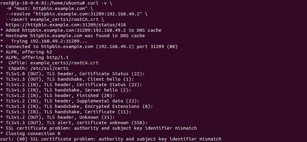 curl error showing the old CA certificate is rejected