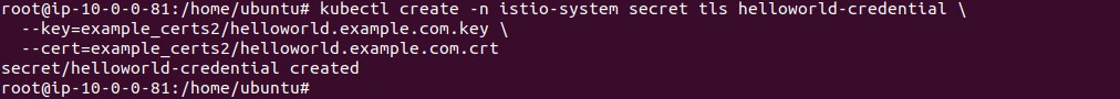 Output of creating the helloworld TLS secret