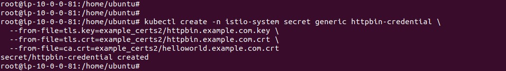 Output of creating the httpbin secret with a CA certificate for mTLS