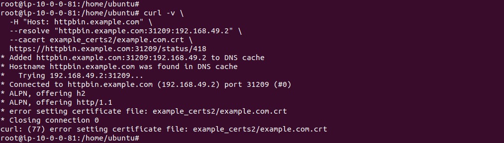 curl error when the CA certificate file cannot be loaded