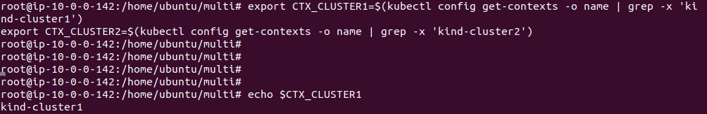 Output of exporting the cluster context variables