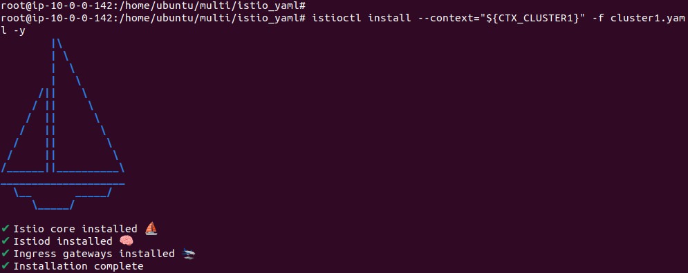 Output of installing Istio in cluster1