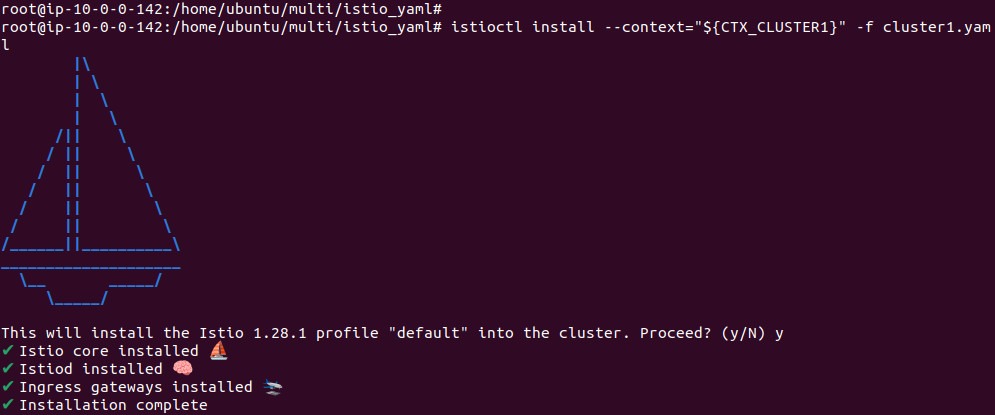 Output of installing the primary control plane in cluster1