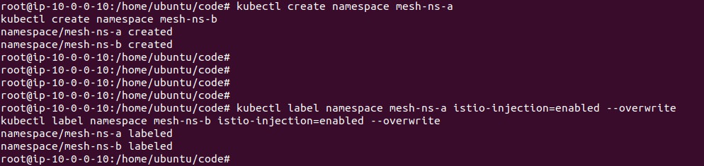 Output of creating and labeling the mesh namespaces