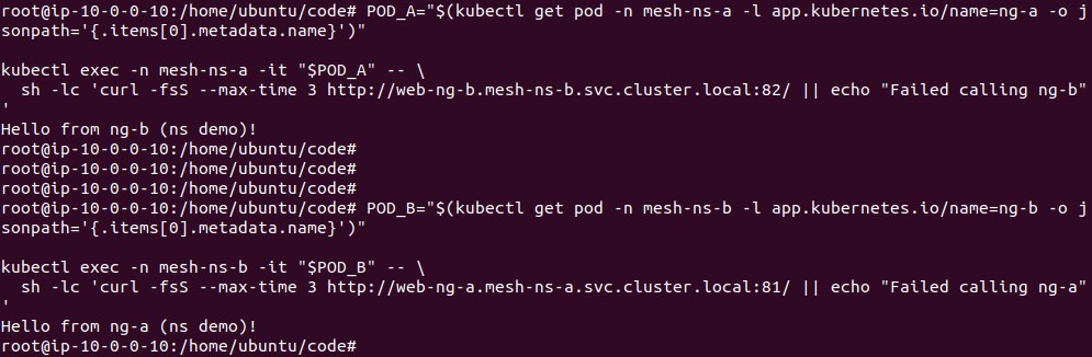 Output of the initial connectivity check between ng-a and ng-b