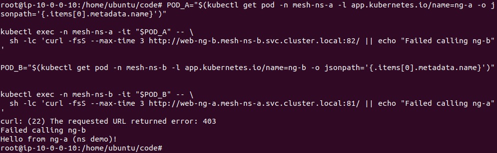Output of the connectivity check after the Istio policy