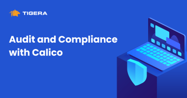 Audit and Compliance with Calico - Regular