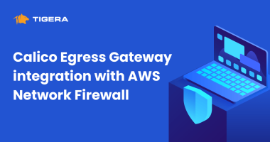 Calico Egress Gateway integration with AWS Network Firewall