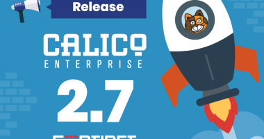 Calico-Enterprise-v2-7