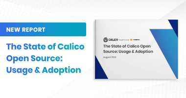 Calico-Open-Source-Adoption-1200x628 (1)