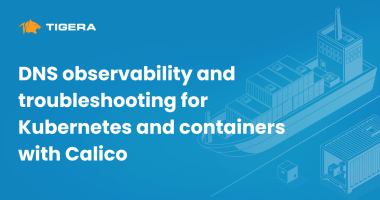 DNS Observability and Troubleshooting for Kubernetes and Containers with Calico (1)