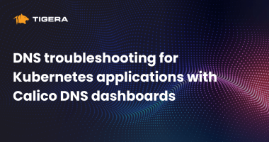 DNS troubleshooting for Kubernetes applications with Calico DNS dashboards