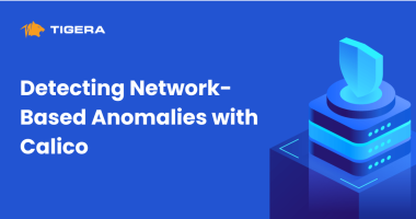 Detecting Network-Based Anomalies with Calico