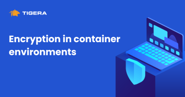 Encryption in container environments