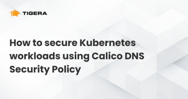How to secure Kubernetes workloads using Calico DNS Security Policy