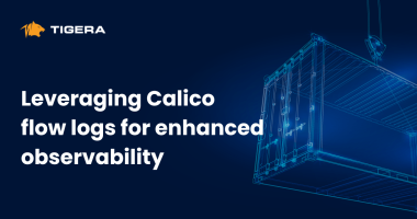 Leveraging Calico flow logs for enhanced observability