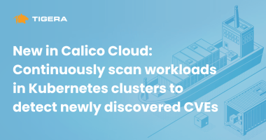 New in Calico Cloud Continuously scan workloads in Kubernetes clusters to detect newly discovered CVEs