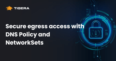 Secure egress access with DNS Policy and NetworkSets