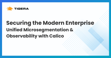 Securing the Modern Enterprise Unified Microsegmentation and Observability with Calico