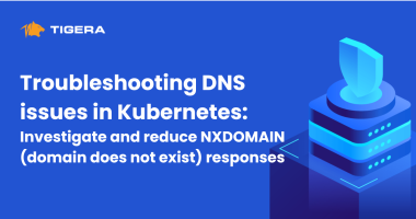 Troubleshooting DNS issues in Kubernetes Investigate and reduce NXDOMAIN (domain does not exist) responses